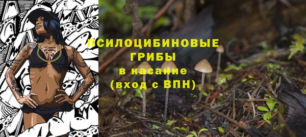 сатива Алексеевка