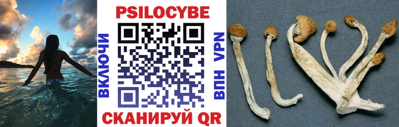 Псилоцибиновые грибы GOLDEN TEACHER наркота Вилючинск
